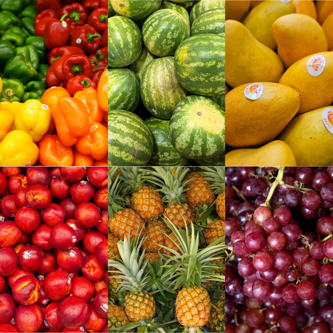 Basha Foods International – Basha Foods International Inc.