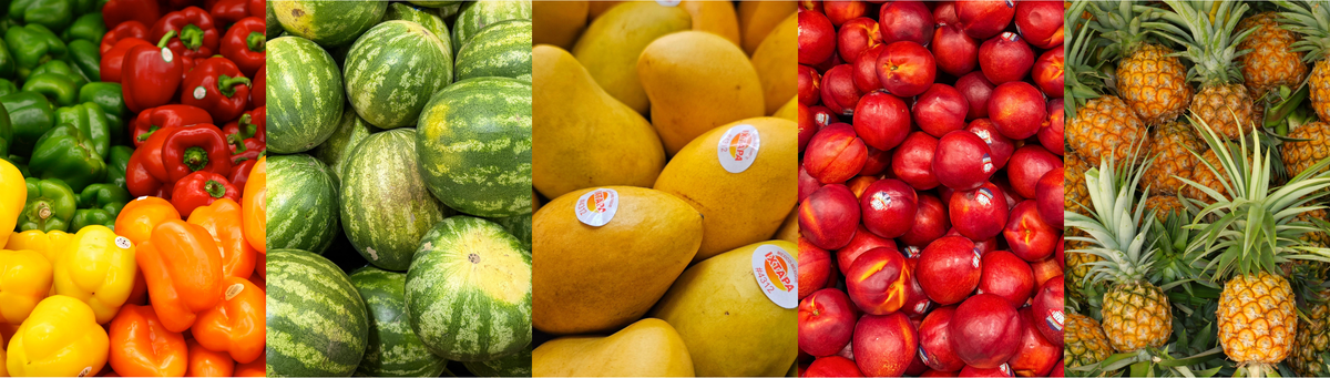 Basha Foods International – Basha Foods International Inc.
